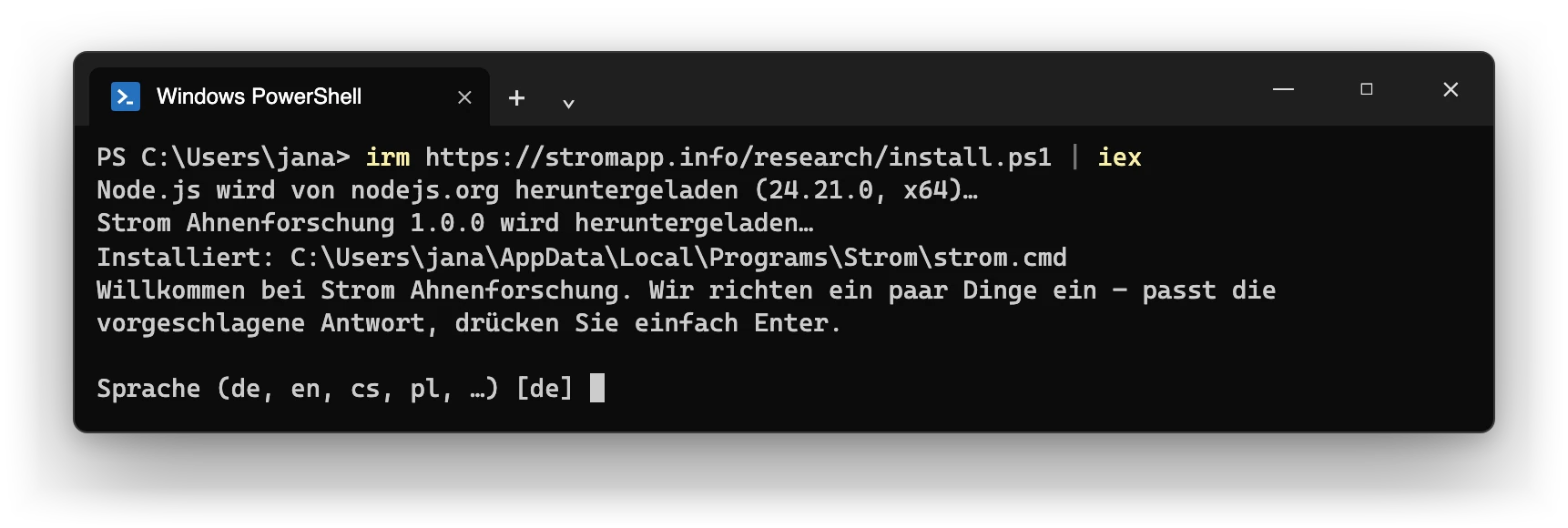 Die eingefügte Zeile im Terminal: Node.js und Strom Research werden geladen, dann startet der Assistent